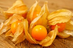 農(nóng)業(yè)自動(dòng)氣象站助力菇娘規(guī)?；N植